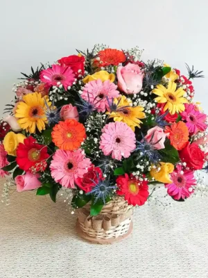 Fiesta de Colores