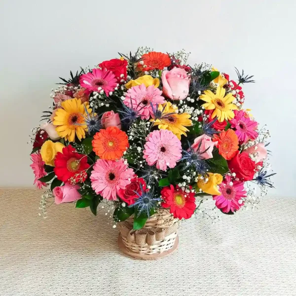 Fiesta de Colores