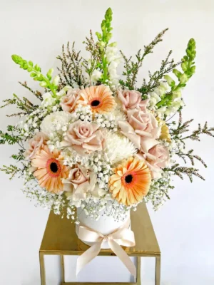 Ramo de flores con gerberas melocotón, rosas crema y follaje, en base blanca con lazo, ideal para regalar con elegancia.