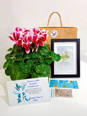 Bono de condolencias con planta de flores rosadas y blancas, portarretrato negro y bolsa de papel kraft