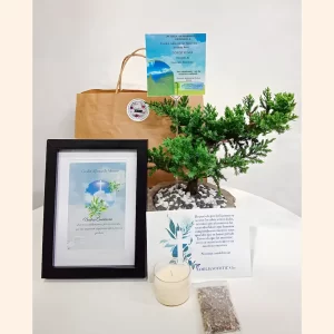 Bono de Condolencia Bonsai