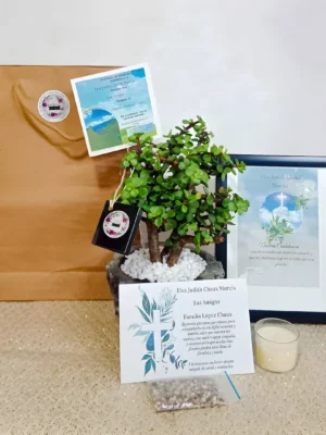 Bono de condolencias con bonsái en piedras blancas, vela en vaso de vidrio y cuadro con cielo y cruz