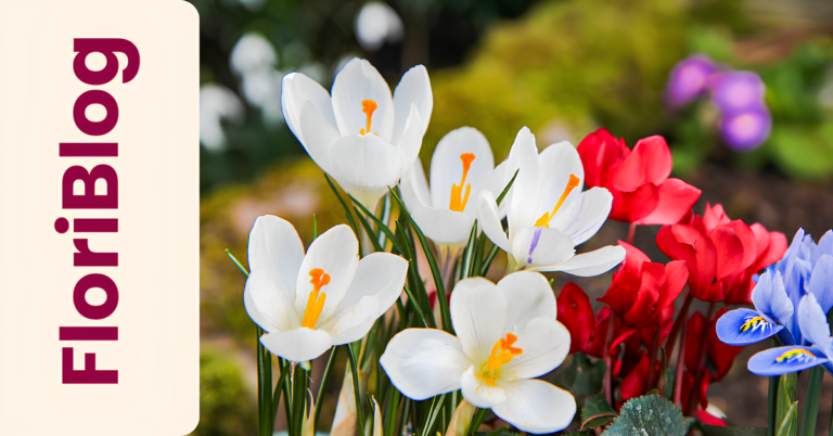 Ideas de Arreglos Florales