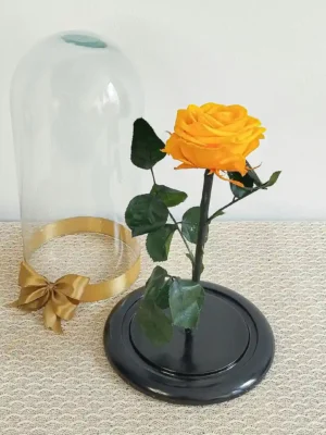 Rose Printanier