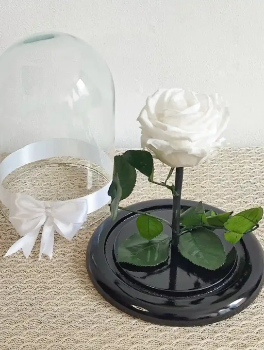 rosa blanca preservada purete floristeria hechizos de amor 1