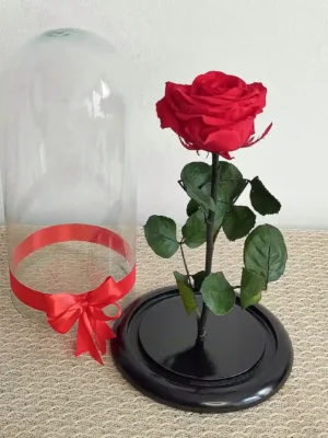 La Rose