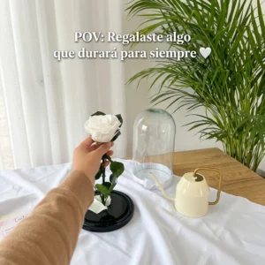 Rosa preservada blanca junto a su cúpula de cristal, con el texto «Regalaste algo que durará para siempre»